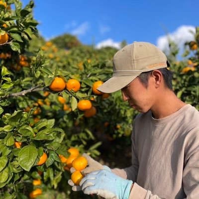 ryohei_citrus's profile picture. 縁もゆかりもない土地で新規就農 ◉愛媛県西予市地域おこし協力隊(柑橘研修R4.3〜R7.2) ◉東京→岩手→宮城→愛媛 アルティメット 右耳難聴