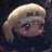 morurumoruru1's profile image