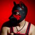 Pup Pirate (@pup_pirate) Twitter profile photo Pup Pirate (@pup_pirate) Twitter profile photo