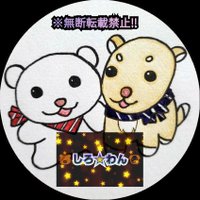 🐻しろ★わん🐶 (@shirowan_461) 's Twitter Profile Photo