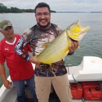 Alejandro Federico A (@ale_alarcon2186) 's Twitter Profile