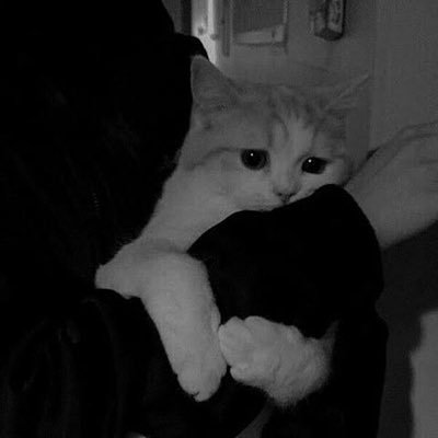 ︎ ︎ ︎ ︎ ︎ ︎ ︎ ︎ ︎ ︎ ︎ ︎ ︎ ︎ ︎ ︎ ︎ ︎ ︎ ︎ ︎ ︎ ︎ ︎ ︎ ︎ ︎ ︎ ︎
