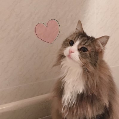 藤井 風くん、空さんに癒される日々😌💕 2021.3 以前から聞いていた名前がふと思い浮かびYouTube観てdive🍃✨21.10.17HEAT🔥大阪、22.10.15🏟パナスタ、23.1.22LAAT🤍名古屋&1.28福井🍃 2025.8.17 埼玉🍃無言フォローお気軽に💕✨