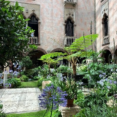 EvelynFeng1's profile picture. 