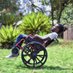 Half Thoughts ♿️ (@teemadzika) Twitter profile photo Half Thoughts ♿️ (@teemadzika) Twitter profile photo
