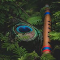 Biswarupa Jagadev ππ«Ά (@biswarupa_j5353) 's Twitter Profile