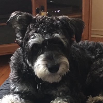 munson_ric92467's profile picture. 