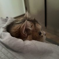 Windfall. (@windfallwww) 's Twitter Profile