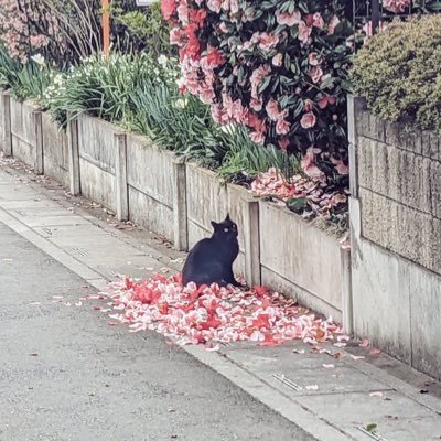 要さんのプロフィール画像