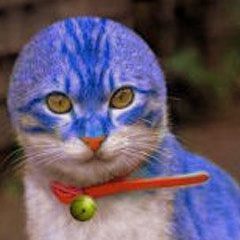 名古屋在住 iガジェット 好き 今は海釣りに夢中