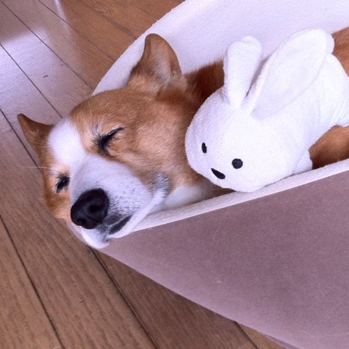 morcbox's profile picture. シューターの兄と、走り屋の兄を持ち、高校時代はカウンターストライク廃人。 こんなオラさ嫌だ！と美大でシャレ乙なデザインを学ぶも、結局ゲームがすきだよ。 ワイがママになったんだよォ！