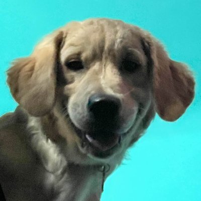 t0ffe3e's profile picture. 