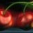 cetixihavara's profile image
