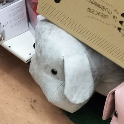 しろせさんのプロフィール画像