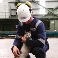 Shipping Man Junior (@shippingmanjr) 's Twitter Profile Photo Shipping Man Junior (@shippingmanjr) 's Twitter Profile Photo