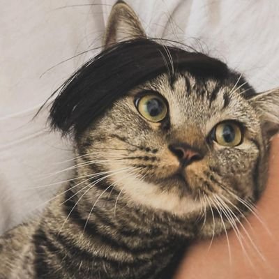 suhuiling8's profile picture. 