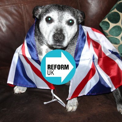 PShouler's profile picture. Retired Bookseller/Military Software Engineer. Dog Lover, Not A Thug, Small 'c' Con, #StopTheBoats,#LeaveTheECHR, Peaceful Protest Only 🇬🇧🏴󠁧󠁢󠁥󠁮󠁧󠁿🐶✌️