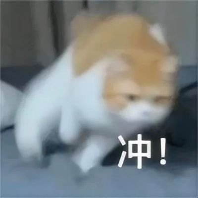 xingmu259's profile picture. 