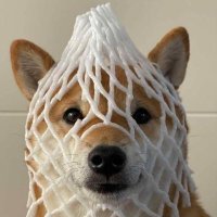 CZ (@cz_dex_s) Twitter profile photo
