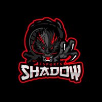 Shadow Esports (@shadowesports11) 's Twitter Profile