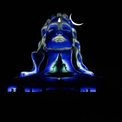 CryptoT95088251's profile picture. 