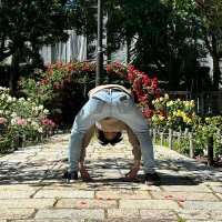 ゲット=リバース (@gvb4tk08cn97863) 's Twitter Profile