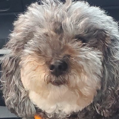 MannyXpforex's profile picture. ForexTrader