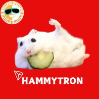 HAMMYTRON (@hammytroncto) 's Twitter Profile