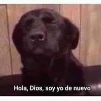 carixs8's profile picture. 