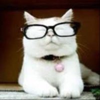 Catturd ™2 (@catturd980) 's Twitter Profile