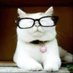 Catturd โข2 (@catturd980) Twitter profile photo Catturd โข2 (@catturd980) Twitter profile photo