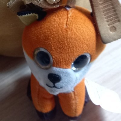Anna The Fennecさんのプロフィール画像