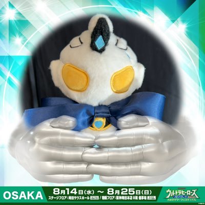 TigersAnnie's profile picture. 秋田→大阪⇢TOKYO???