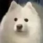 kikikiLeque's profile picture. 