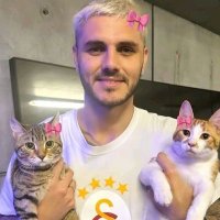 Talex (@talex8350092) 's Twitter Profile