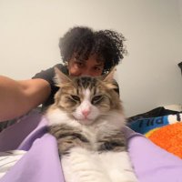 Krang (@krang_cs) 's Twitter Profile