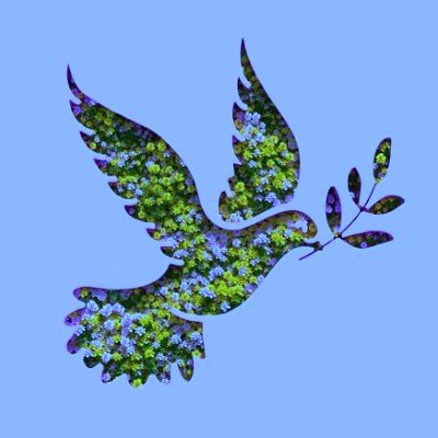 大矢誠のしたことは絶対に許さない。他の全ての動物虐待者も同様。大矢判決で動物虐待撲滅のために動物愛護法の厳罰化が必要と痛感。TNR+保護した猫の里親探し+1年365日地域猫の世話と周辺清掃しています。