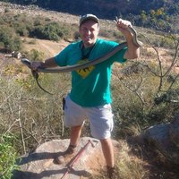 Nick Evans (@nickevanskzn) 's Twitter Profile Photo Nick Evans (@nickevanskzn) 's Twitter Profile Photo