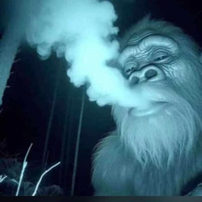 kingjamal147's profile picture. Benin man 👱🏾‍♂️.Manchester United♥ officer 👮‍♂️ of the federal republic..💯upper sakponba breed. good but not nice.