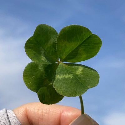人生は、一度きり やりたい事は、今やろう‼︎この歳(アラ還)になって一人でどこへでも行けるようになった私です 推しの言葉を聞き取りたくてデュオリンゴで韓国語🇰🇷 「彼女はキレイだった」でソジュナに沼落ち 韓国料理大好き💕 青春MTでチチャンウクシの人柄に💓