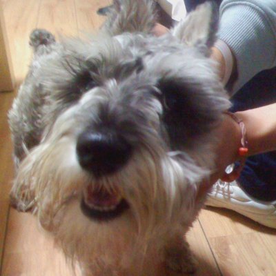 gucci9724's profile picture. 