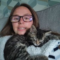 Becky T (@beckytlcfc) 's Twitter Profile