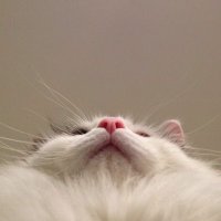 ๐๐๐๐๐๐ (@xulle7) 's Twitter Profile