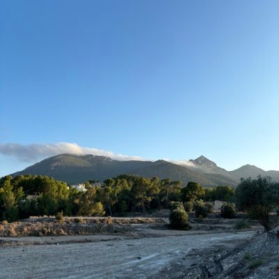 cortaaaaa's profile picture. 