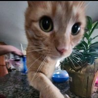 Todd Howard (@toddhow91099851) 's Twitter Profile Photo Todd Howard (@toddhow91099851) 's Twitter Profile Photo