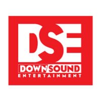 Downsound Entertainment (@downsound1_) 's Twitter Profile