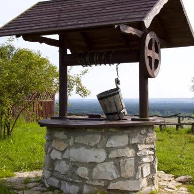 sadavioiv's profile picture. 