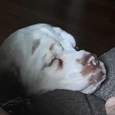 TerriMo80156710's profile picture. 