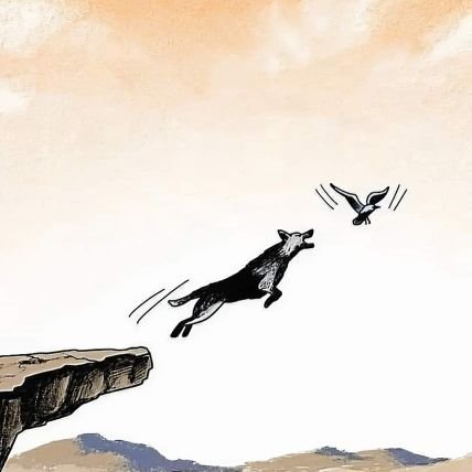 Shanu_445's profile picture. 