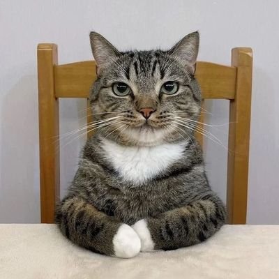 bodhicus's profile picture. licensed reply guy • stone age line drawer •

@bodhici